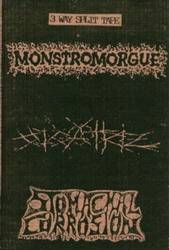 Stomachal Corrosion : 3 Way Split Tape